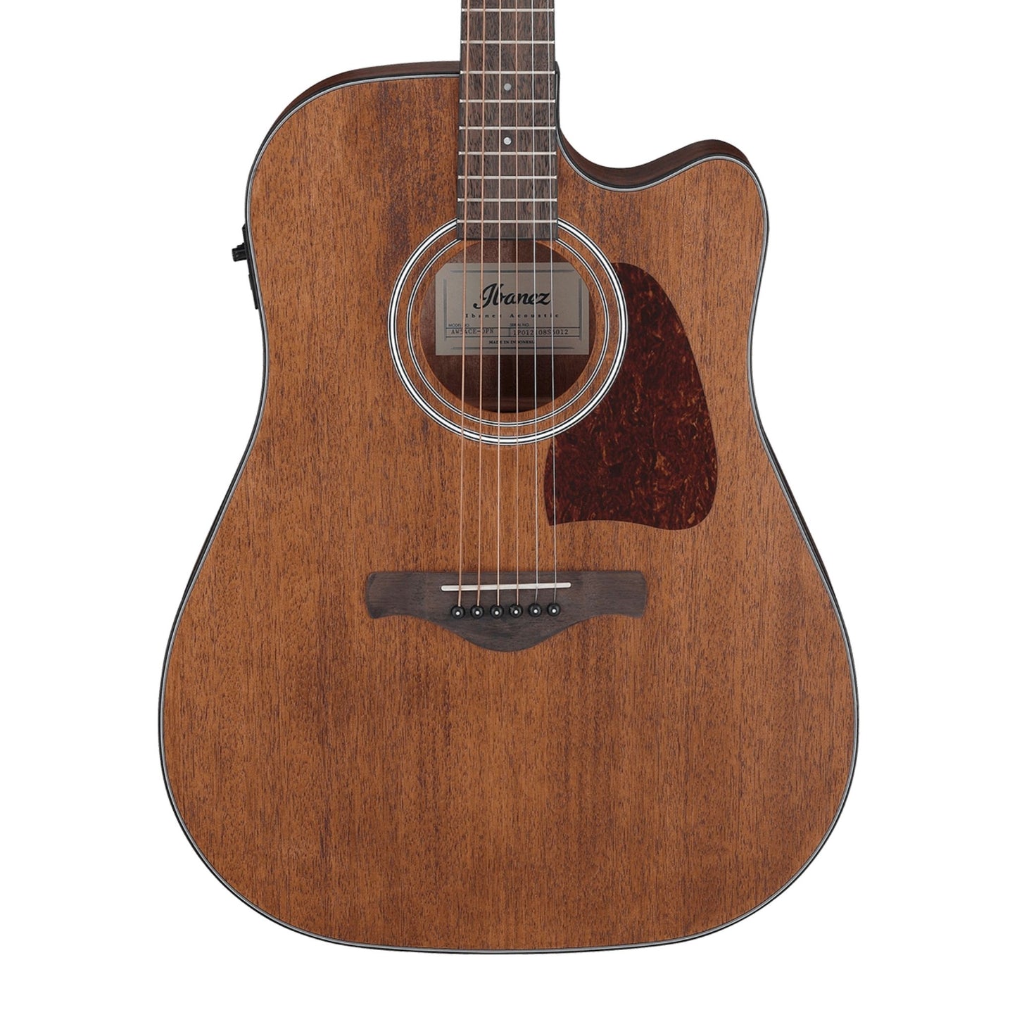 Ibanez AW54CE Elektro Akustik Gitar