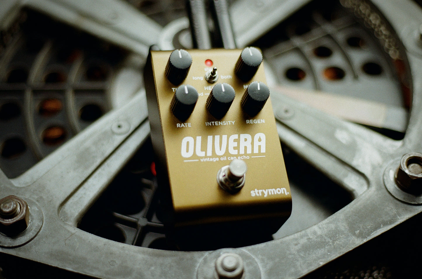 Strymon Olivera Vintage Oil Can Echo