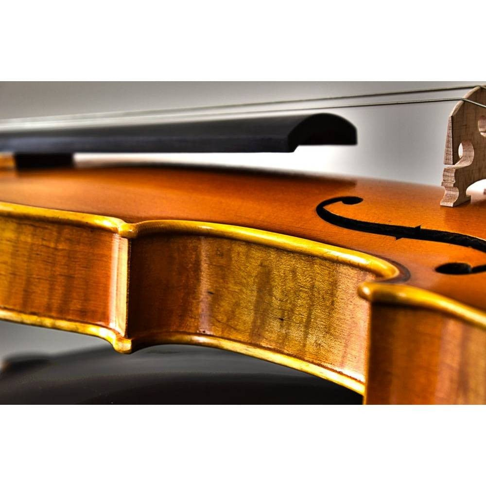 Carlovy VLA2-4/4 Keman