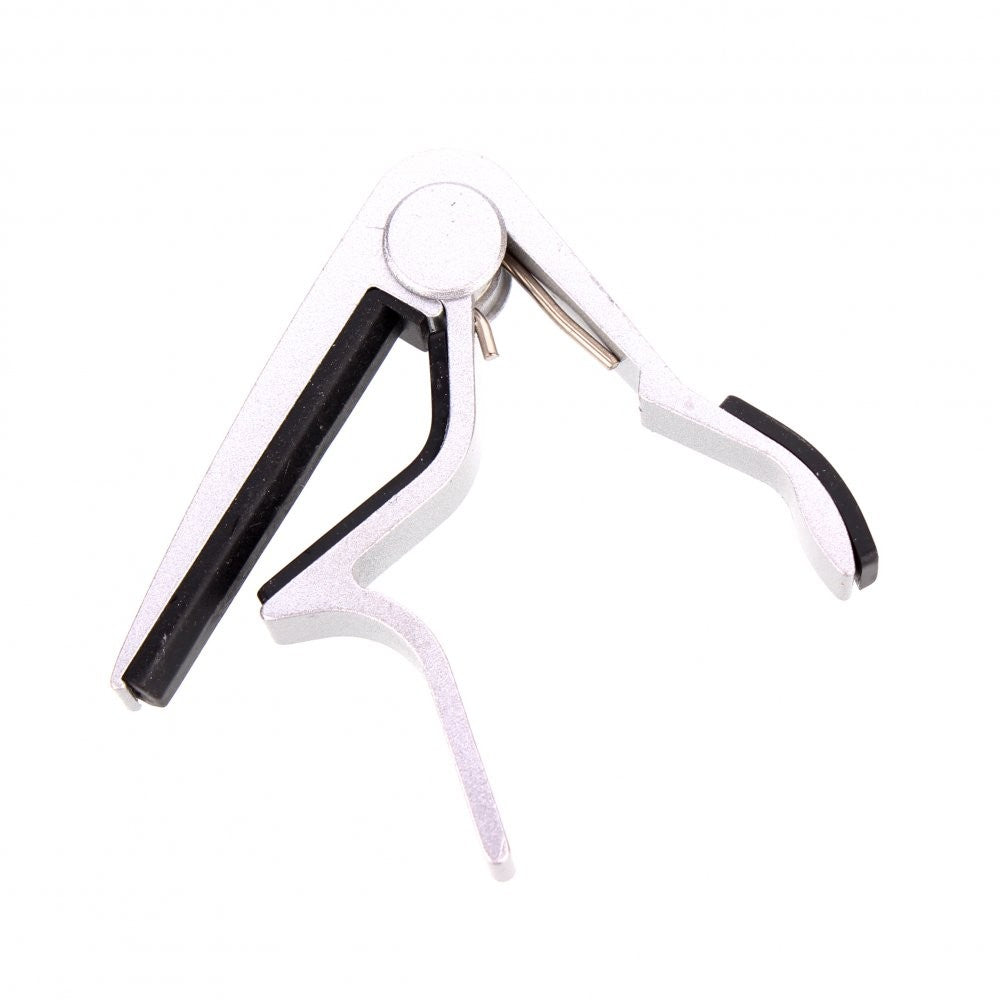 Debbie Akustik Gümüş Gitar Kaposu