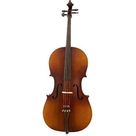 Vanetta WN-21 3/4 Masif Çello (11-15 Yaş)