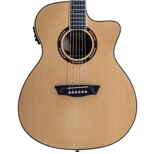 Washburn AG70CE Apprentice Elektro Akustik Gitar