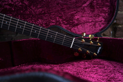 Taylor 214ce DLX w/Hardcase (2.El)