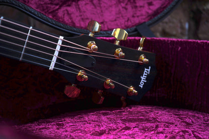 Taylor 214ce DLX w/Hardcase (2.El)