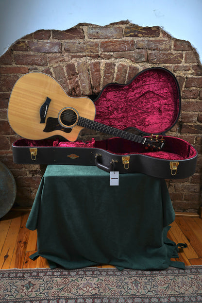 Taylor 214ce DLX w/Hardcase (2.El)