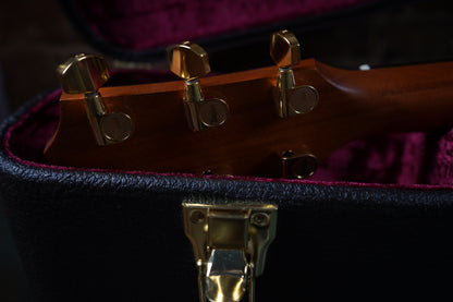 Taylor 214ce DLX w/Hardcase (2.El)