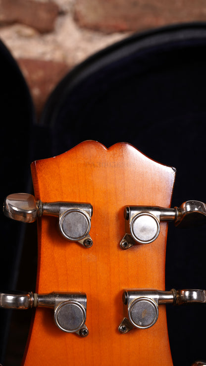 USED Peerless PSJ-65CE Akustik Gitar (2.El)