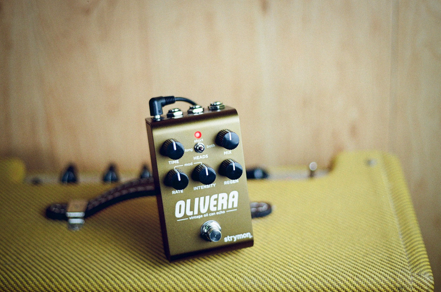 Strymon Olivera Vintage Oil Can Echo
