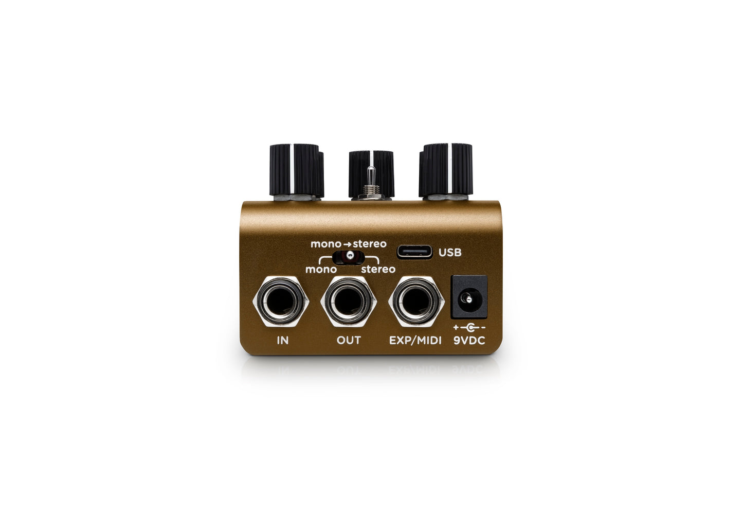 Strymon Olivera Vintage Oil Can Echo