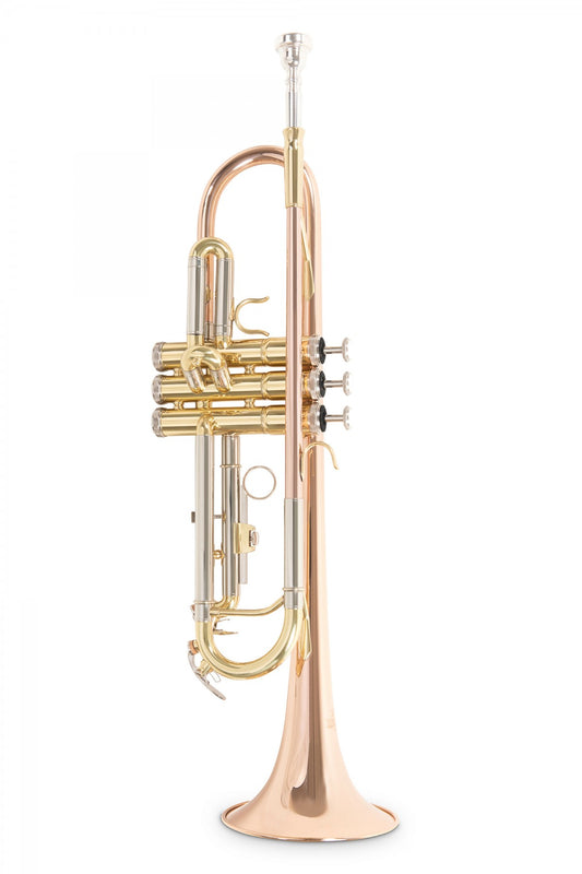 Roy Benson TR-202GBb Trompet