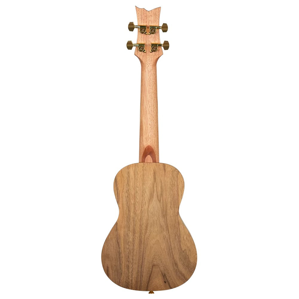 Ortega RUAR-HY Art Series Concert Ukulele (Himalaya)